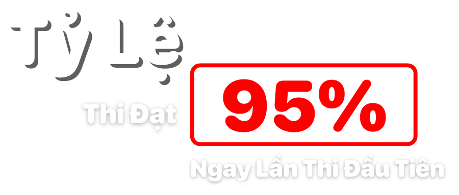 Ty Le e1747276999981